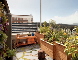 Xu hướng thiết kế sân vườn cực hot trong năm 2023